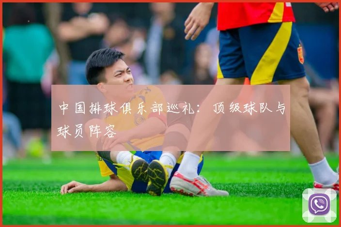 中国排球俱乐部巡礼：顶级球队与球员阵容